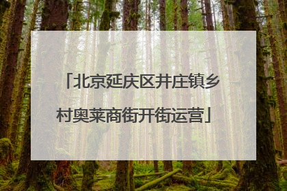 北京延庆区井庄镇乡村奥莱商街开街运营