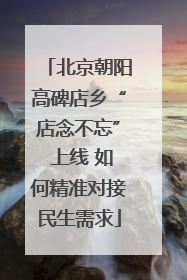 北京朝阳高碑店乡“店念不忘” 上线 如何精准对接民生需求