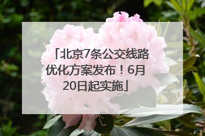 北京7条公交线路优化方案发布！6月20日起实施