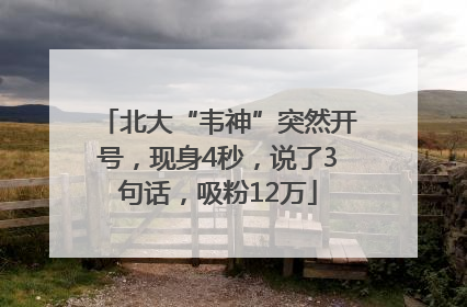 北大“韦神”突然开号，现身4秒，说了3句话，吸粉12万