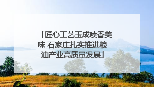 匠心工艺玉成喷香美味 石家庄扎实推进粮油产业高质量发展