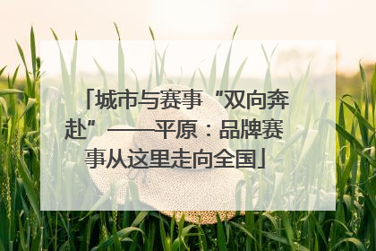 城市与赛事“双向奔赴”——平原：品牌赛事从这里走向全国