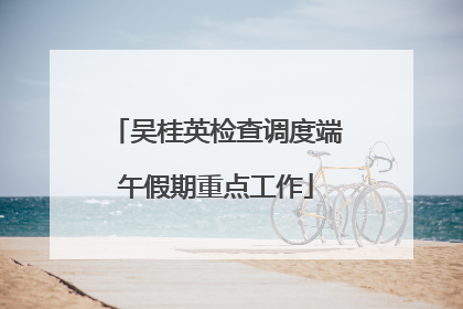 吴桂英检查调度端午假期重点工作