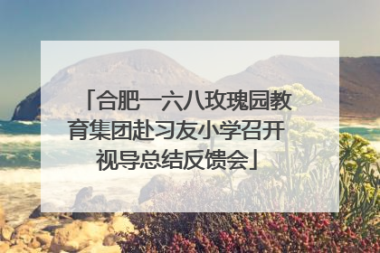 合肥一六八玫瑰园教育集团赴习友小学召开视导总结反馈会