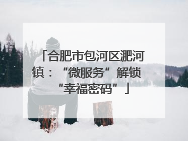 合肥市包河区淝河镇：“微服务”解锁“幸福密码”