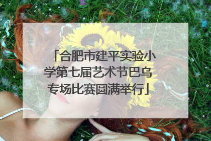 合肥市建平实验小学第七届艺术节巴乌专场比赛圆满举行