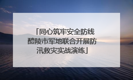 同心筑牢安全防线 醴陵市军地联合开展防汛救灾实战演练