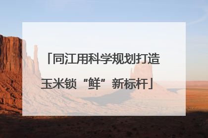 同江用科学规划打造玉米锁“鲜”新标杆