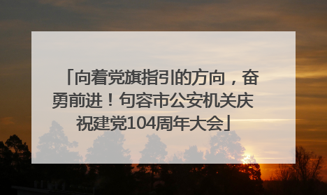 向着党旗指引的方向，奋勇前进！句容市公安机关庆祝建党104周年大会