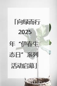 向绿而行 2025年“伊春生态日”系列活动启幕