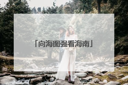 向海图强看海南