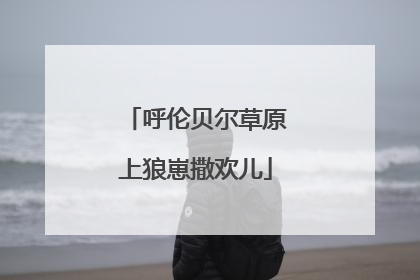 呼伦贝尔草原上狼崽撒欢儿