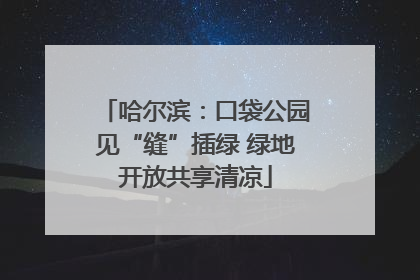 哈尔滨：口袋公园见“缝”插绿 绿地开放共享清凉
