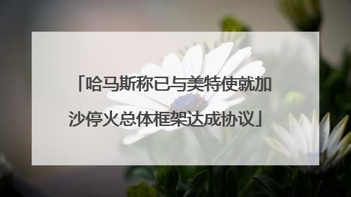 哈马斯称已与美特使就加沙停火总体框架达成协议