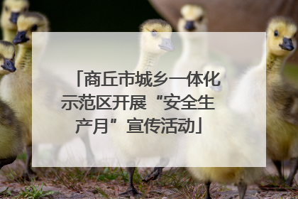 商丘市城乡一体化示范区开展“安全生产月”宣传活动
