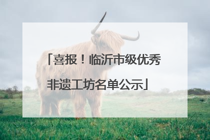 喜报！临沂市级优秀非遗工坊名单公示