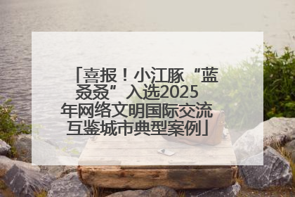 喜报！小江豚“蓝叒叒”入选2025年网络文明国际交流互鉴城市典型案例