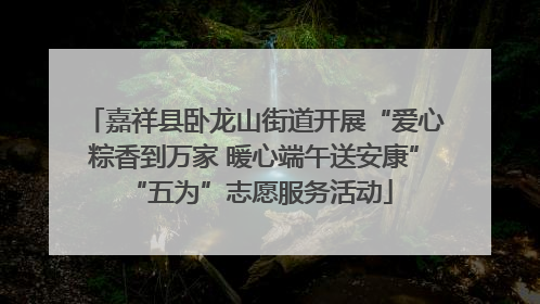 嘉祥县卧龙山街道开展“爱心粽香到万家 暖心端午送安康” “五为”志愿服务活动