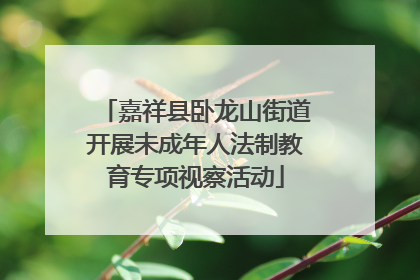 嘉祥县卧龙山街道开展未成年人法制教育专项视察活动