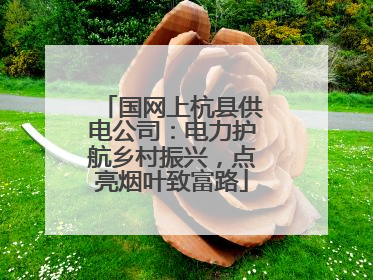 国网上杭县供电公司：电力护航乡村振兴，点亮烟叶致富路