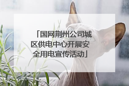 国网荆州公司城区供电中心开展安全用电宣传活动
