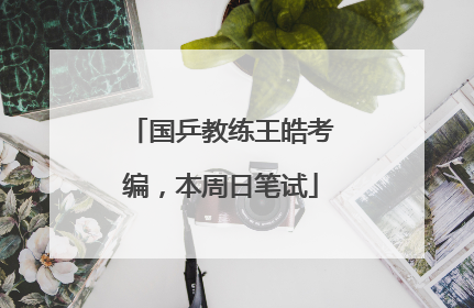 国乒教练王皓考编，本周日笔试