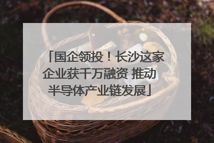 国企领投！长沙这家企业获千万融资 推动半导体产业链发展