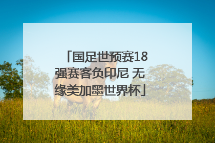 国足世预赛18强赛客负印尼 无缘美加墨世界杯