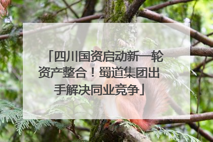 四川国资启动新一轮资产整合！蜀道集团出手解决同业竞争