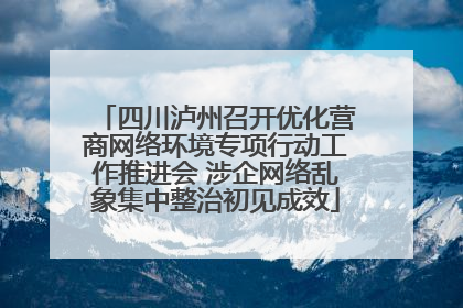 四川泸州召开优化营商网络环境专项行动工作推进会 涉企网络乱象集中整治初见成效