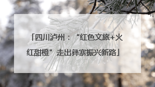 四川泸州：“红色文旅+火红甜橙”走出彝寨振兴新路
