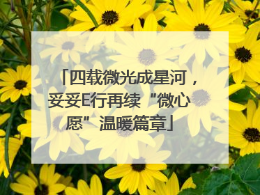 四载微光成星河，妥妥E行再续“微心愿”温暖篇章