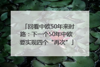 回看中欧50年来时路：下一个50年中欧要实现四个“再次”
