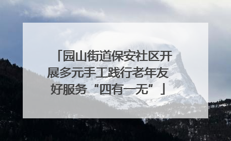 园山街道保安社区开展多元手工践行老年友好服务“四有一无”