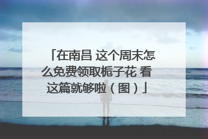 在南昌 这个周末怎么免费领取栀子花 看这篇就够啦（图）