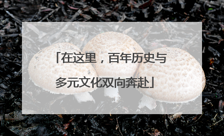 在这里，百年历史与多元文化双向奔赴