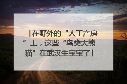 在野外的“人工产房”上，这些“鸟类大熊猫”在武汉生宝宝了