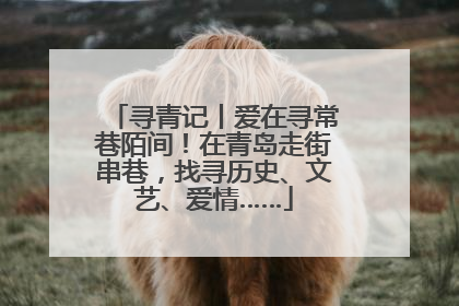 寻青记丨爱在寻常巷陌间！在青岛走街串巷，找寻历史、文艺、爱情……