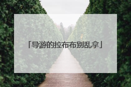 导游的拉布布别乱拿