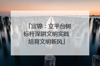 富锦：立平台树标杆深耕文明实践培育文明新风