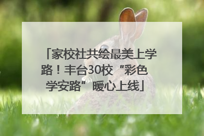 家校社共绘最美上学路！丰台30校“彩色学安路”暖心上线