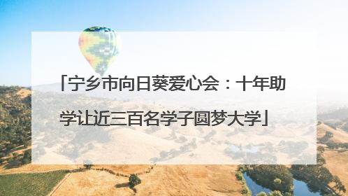 宁乡市向日葵爱心会：十年助学让近三百名学子圆梦大学