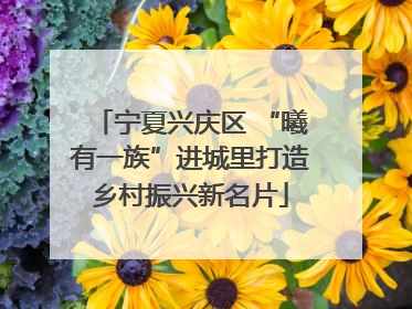 宁夏兴庆区 “曦有一族”进城里打造乡村振兴新名片