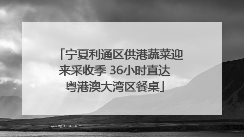 宁夏利通区供港蔬菜迎来采收季 36小时直达粤港澳大湾区餐桌