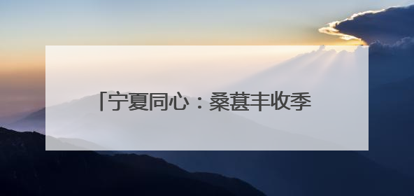 宁夏同心：桑葚丰收季 甜蜜采摘助力乡村振兴