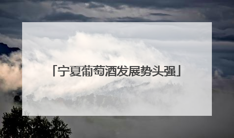 宁夏葡萄酒发展势头强