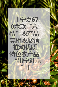 宁夏670余款“六特”农产品亮相农展馆 推动优质特色农产品“出宁进京”