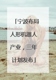 宁波布局人形机器人产业，三年计划发布