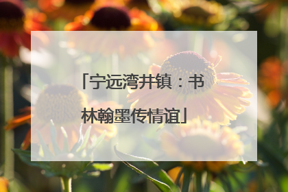 宁远湾井镇：书林翰墨传情谊