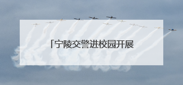 宁陵交警进校园开展交通安全宣传活动